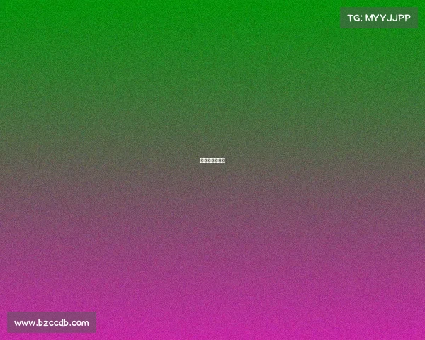 自由杯历届冠军